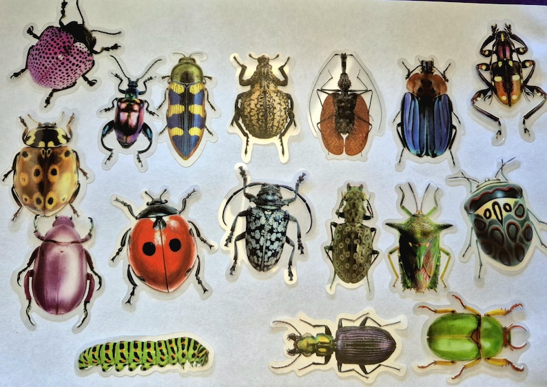 May include: A selection of insect stickers, including beetles and a caterpillar, in various colours. The stickers feature a range of patterns and shades, including red, blue, green, and yellow. These stickers are suitable for crafting and decorating.