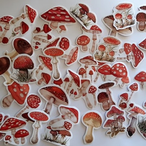 Pilz Aufkleber, Cartoon Pilze Aufkleber, 23/46 verschiedene Muster, Kawaii Papier Aufkleber, Bunt, Scrapbooking, Tagebuch, Journal