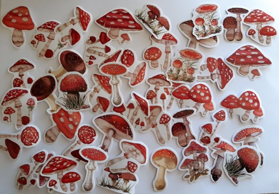Mushroom Stickers, Cartoon Mushrooms Stickers, 23/46 different patterns, Kawaii Paper Sticker, Colorful, Scrapbooking, Diary, Journal