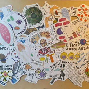 May include: A collection of colorful stickers featuring science-themed illustrations and text. The stickers include images of cells, neurons, DNA, and a fish. The text on the stickers includes phrases like "I'm cultured", "Working 5' to 3'", "What a way to make a living", "Life's a bitch", and "The possibilities are limitless".