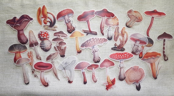 Vintage Mushrooms Stickers Botanical Stickers 29 Pcs Travel Bullet Journal Craft Paper Scrapbooking Craft Diary Album Washi Stickers