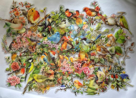 Birds and flowers, Educational Stickers, 25/50 pieces, Real picks, Waterproof, Colorful, Plastic material