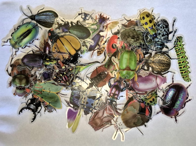 May include: A collection of colourful insect stickers, including beetles, caterpillars, and other bugs. The stickers feature a variety of shapes, sizes, and colours, such as green, yellow, and purple. The stickers are arranged in a cluster.