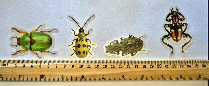 May include: Four insect stickers of various species are displayed on a white surface next to a wooden ruler. The insects include a green beetle, a yellow beetle with black spots, and two other brown and black insects. The ruler measures in centimetres.