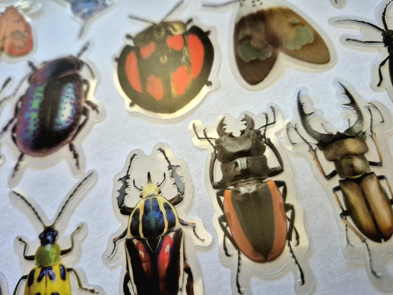 May include: A selection of insect stickers, including beetles and moths, in various colours and patterns. The stickers feature iridescent, red, orange, and brown hues. The stickers are presented on a clear background.