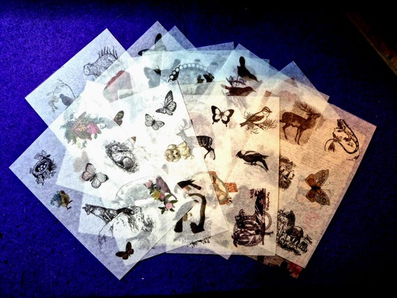 Vintage Animal Stickers, Several Stickers in a sheet, Old ilustrations, Encyclopedia Style Design, Set of 10/20 sheets Japanese Paper