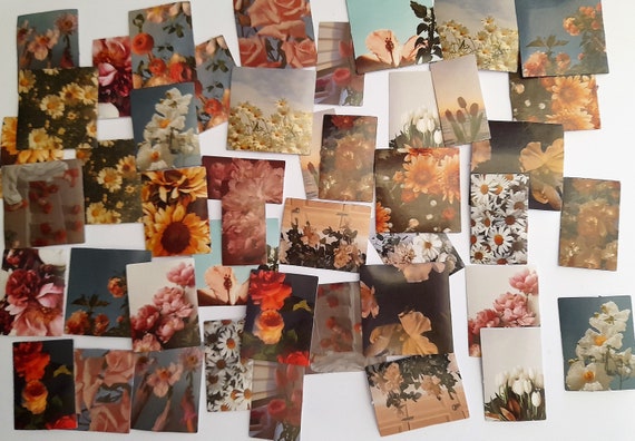 Sunflowers Stickers, Sunflowers Landscapes, Flowers Stickers, Floral Landscapes, Paper Stickers, set of 23/46 pieces, High quality images