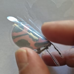 May include: A detailed butterfly sticker featuring pink, blue, and green hues. The sticker is held by fingers, highlighting its design and transparent backing. The butterfly's wings and body are visible, showcasing its intricate details.