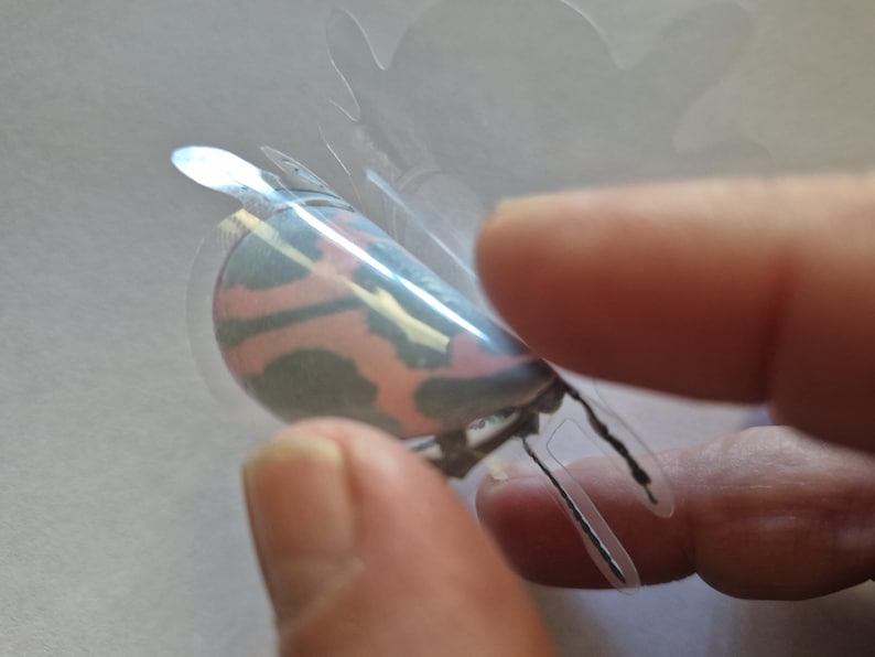 May include: A detailed butterfly sticker featuring pink, blue, and green hues. The sticker is held by fingers, highlighting its design and transparent backing. The butterfly's wings and body are visible, showcasing its intricate details.