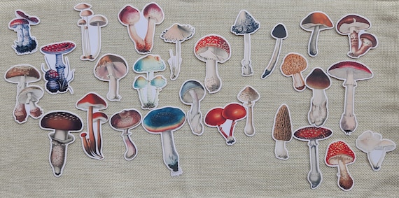 Magical Mushrooms 38PCS  Decorative Stickers For Halloween Scrapbooking Stationery DIY Crafts