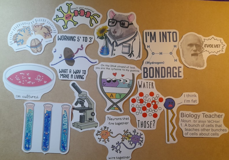 Funny Biology Stickers: Science Graffiti Decals (25/50 pcs) image 5