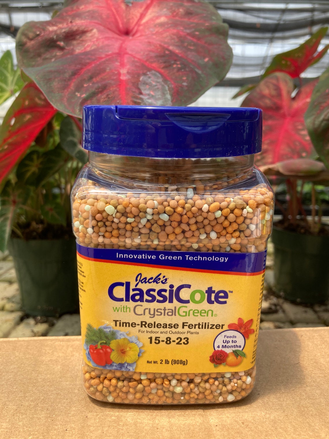 WORLD'S BEST Classicote Fertilizer Slow Release Etsy