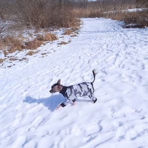Chinese Crested Snowsuit - Grey Camo/Pink Cheetah/Blue Cheetah/Rainforest Dino/Foxy image 3