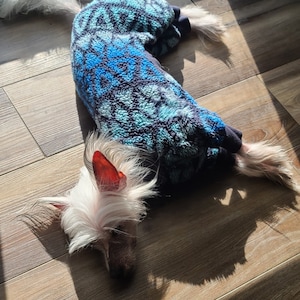 May include: A small, hairless dog wearing a blue and green patterned fleece jumpsuit. The dog is lying on a wooden floor.