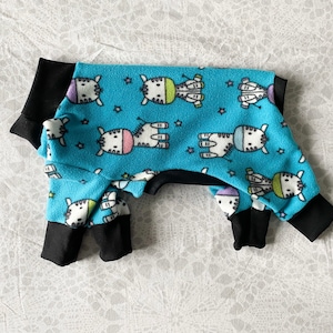 Chinese Crested PJs - Baby Zebras
