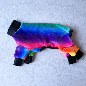 May include: A rainbow-colored dog sweater with black trim. The sweater is made of a soft, fuzzy material.