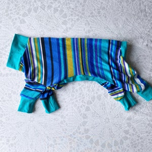Chinese Crested Lightweight PJs - Stripes-Teal