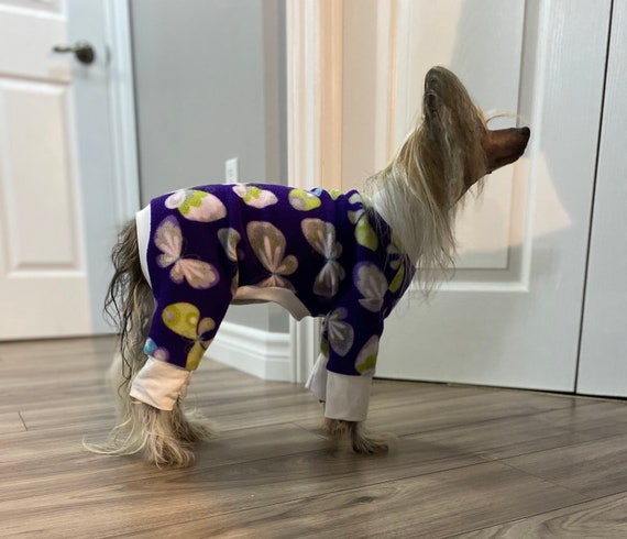 chinese crested clothes