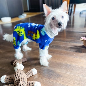 Chinese Crested PJs - Big Dino