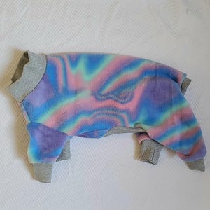 Chinese Crested Pyjama - Lollipop Swirl