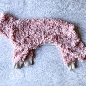 May include: A pink dog sweater with a rose pattern and white ribbed trim. The sweater has a hood.