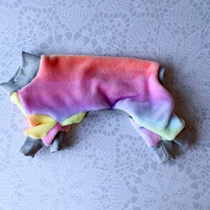 May include: A rainbow-colored dog sweater with gray cuffs. The sweater is made of a soft, plush material.