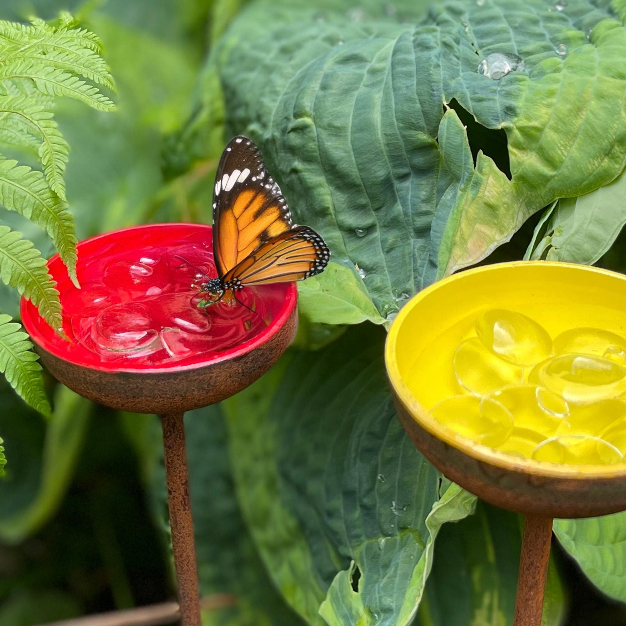 Bee Water Stations, Garden Water Cups for Birds Butterflies & Bees, Garden Decor - Set of 3