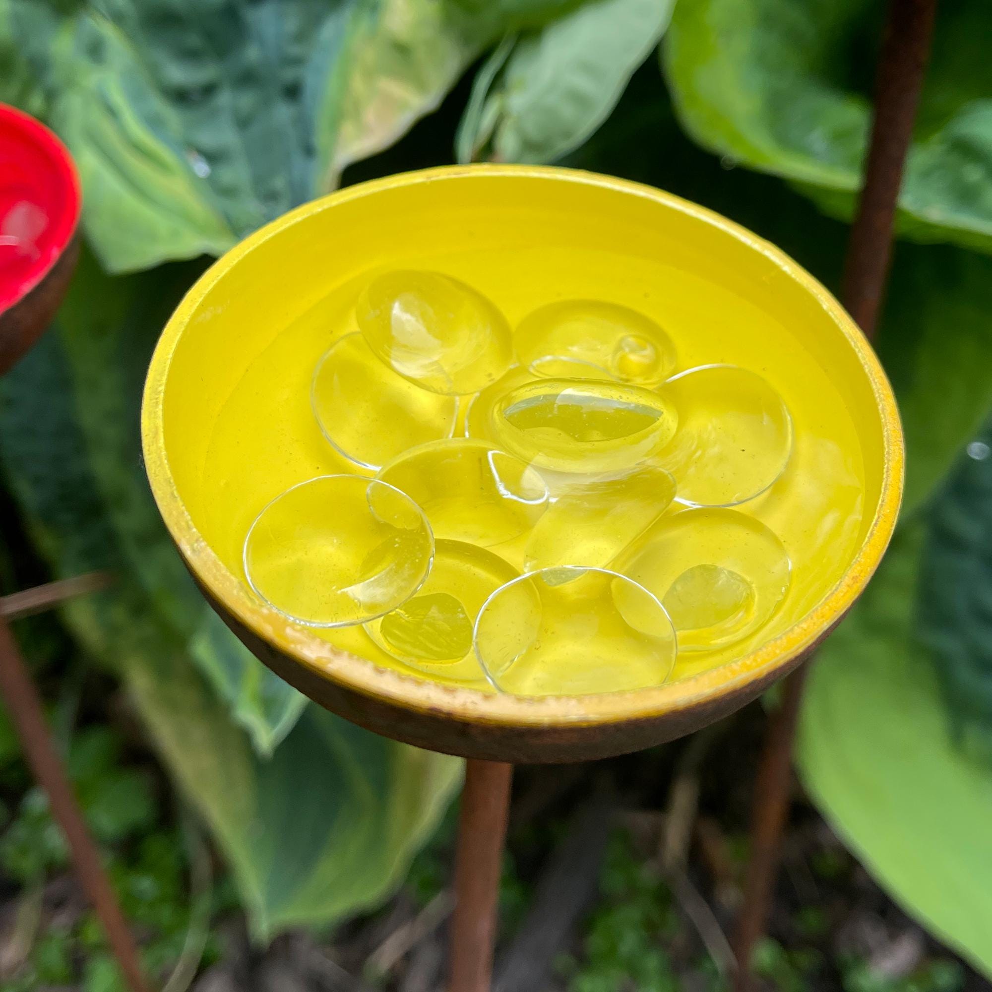 Bee Water Stations, Garden Water Cups for Birds Butterflies & Bees, Garden Decor - Set of 3