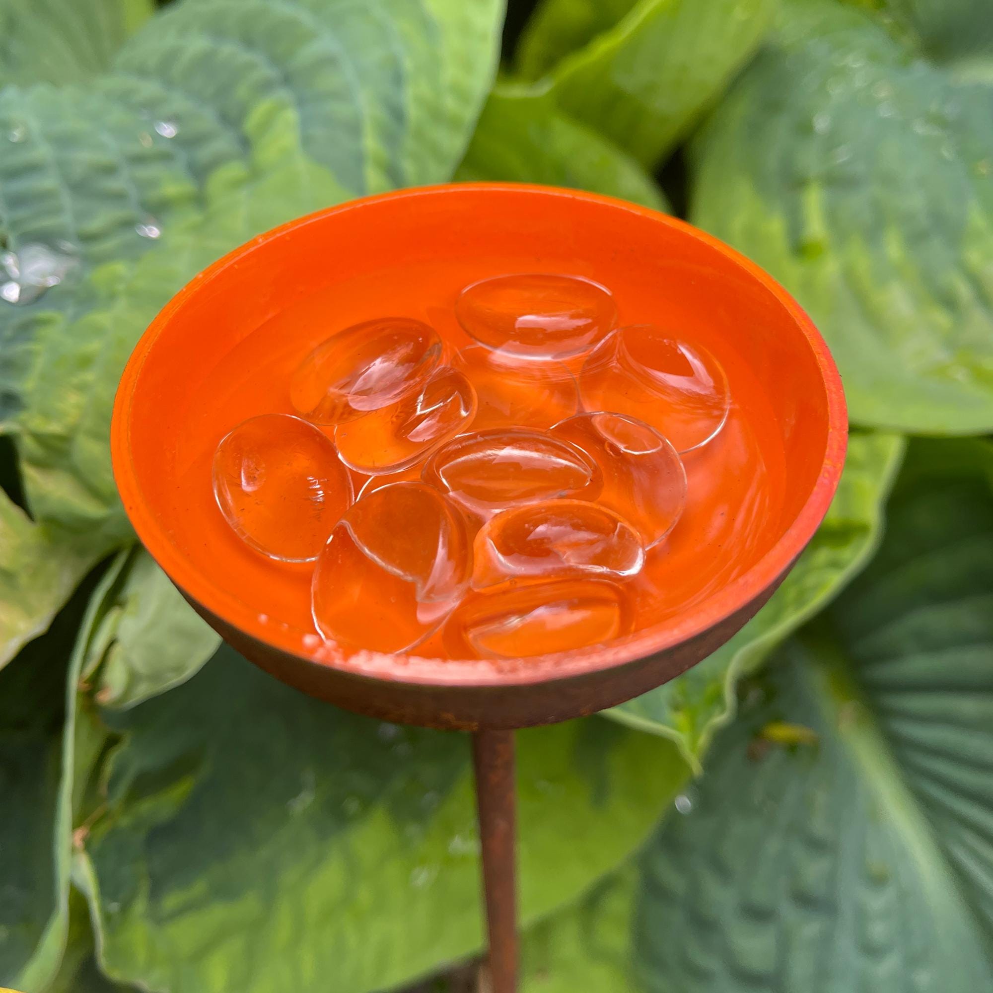 Bee Water Stations, Garden Water Cups for Birds Butterflies & Bees, Garden Decor - Set of 3