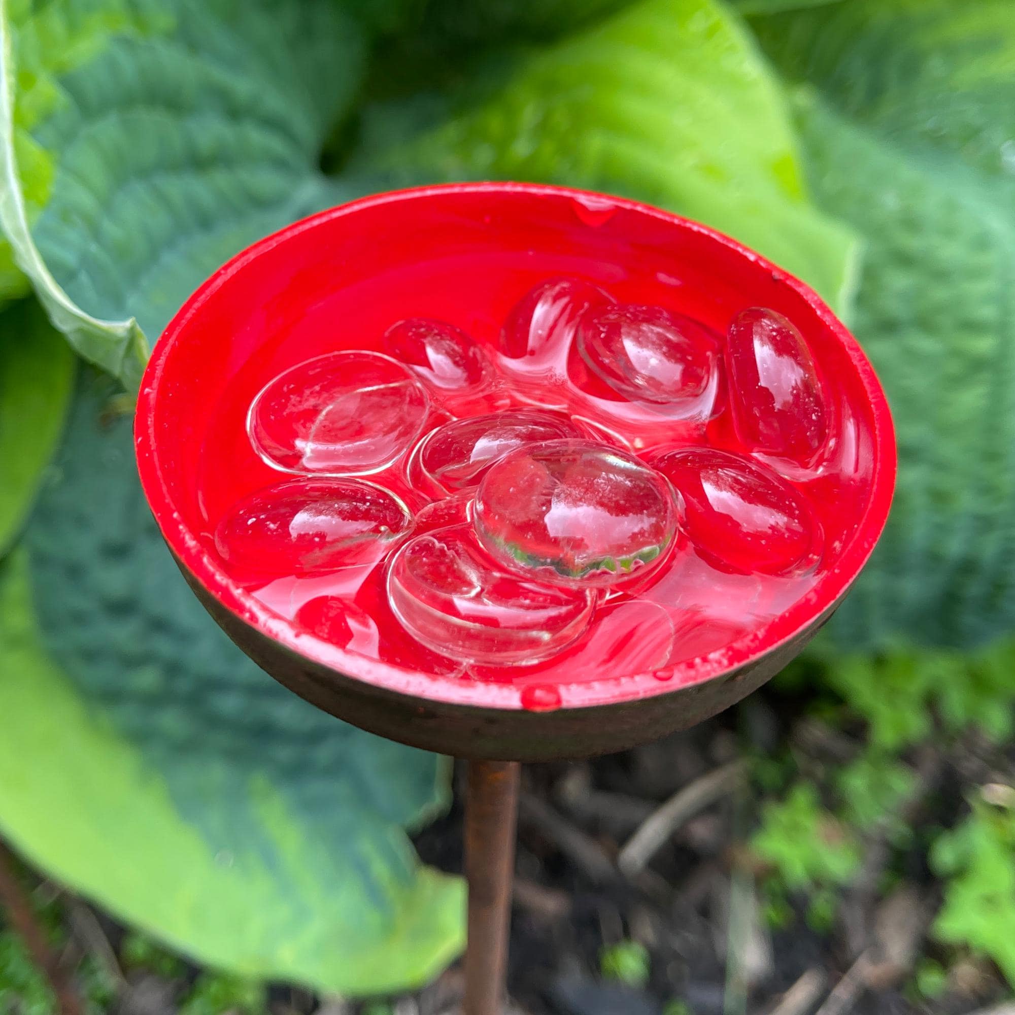 Bee Water Stations, Garden Water Cups for Birds Butterflies & Bees, Garden Decor - Set of 3