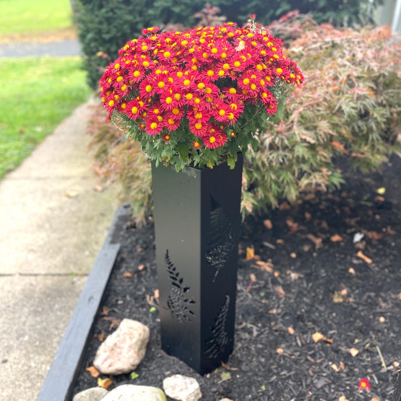 May include: A black metal planter with fern cutouts holds a large cluster of red and yellow chrysanthemums. The planter is rectangular and stands upright in a garden bed with mulch and rocks. The flowers are in full bloom.