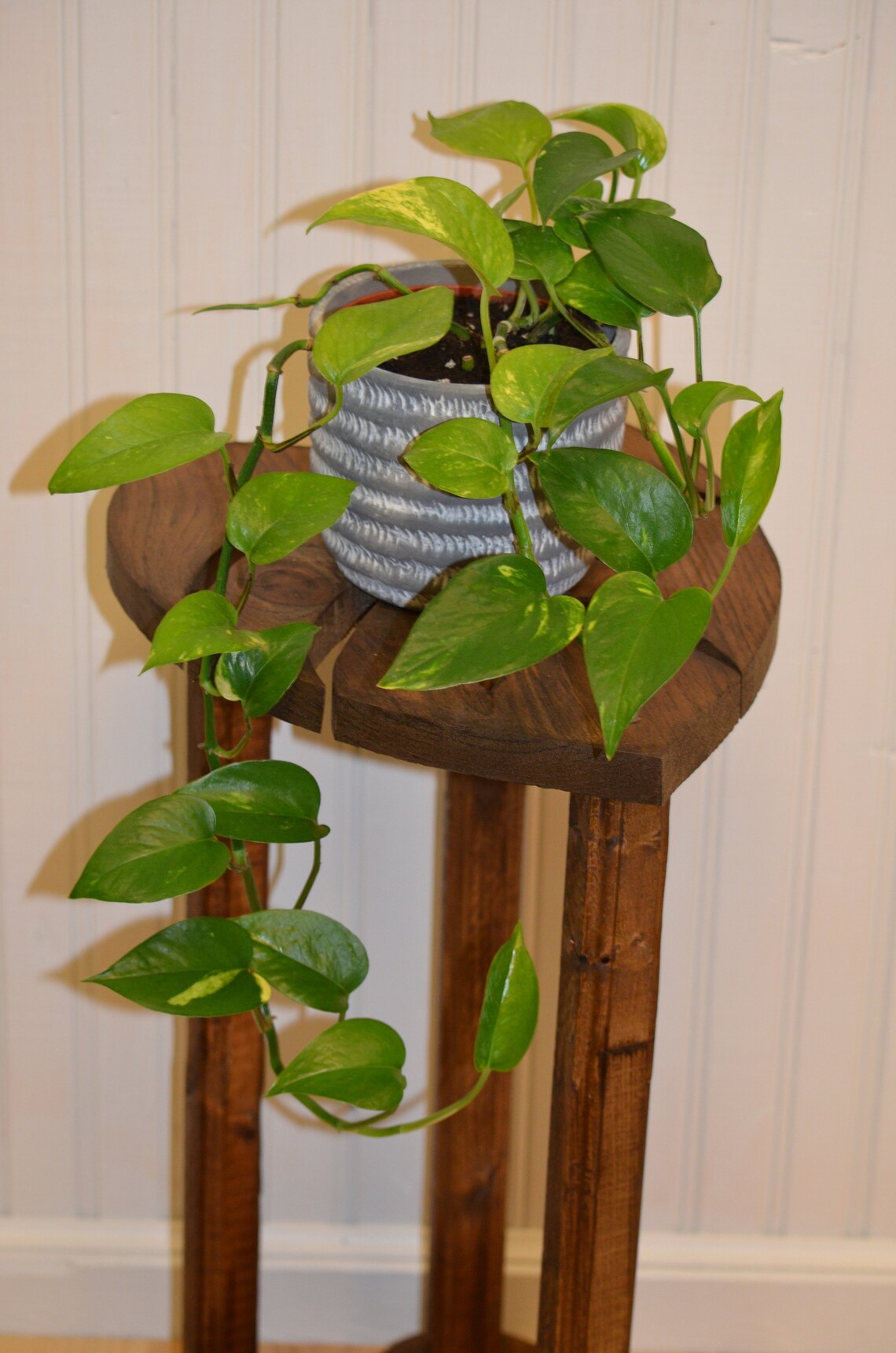 Monstera Leaf Shaped Plant Stand Duo Etsy