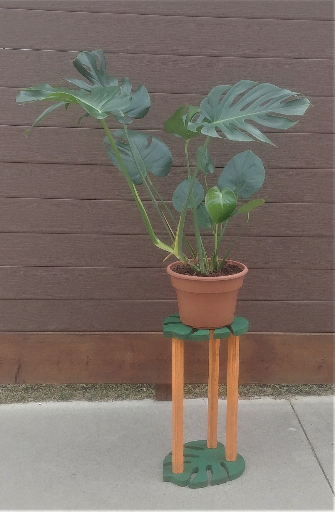 Monstera Leaf Plant Stand Duo Etsy