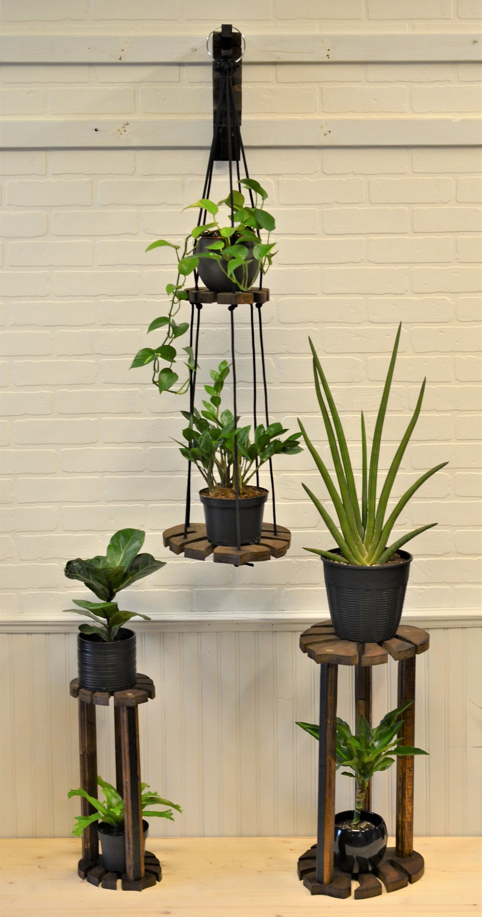 Monstera Leaf Plant Stand Ensemble Etsy UK