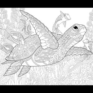 Póster gigante para colorear de 91 x 122 cm