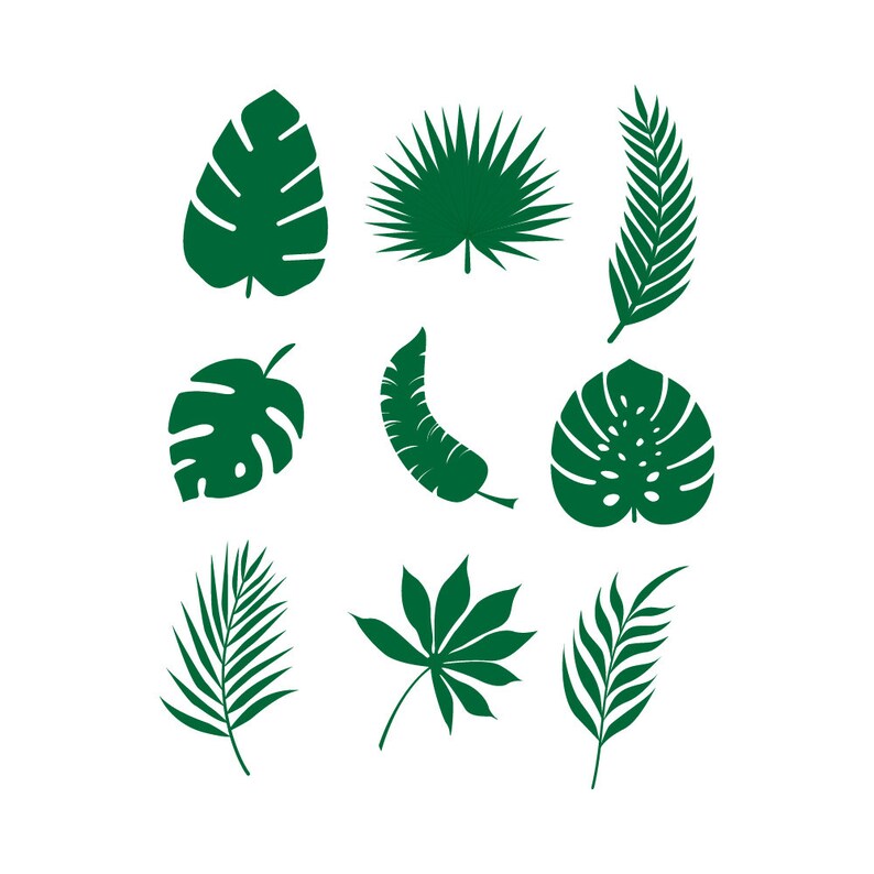 Jungle Tropical Leaves SVG, EPS,PNG, Dxf,jpg instant Zip File Download