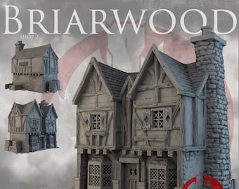 Briarwood Medieval Shop #1 28/32mm | Dark Realms | 3D Printed Tabletop Props | Fantasy RPG Gaming - Dungeons and Dragons DnD D&D Pathfinder