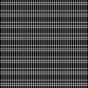 Könnte beinhalten: Ein schwarz-weißes Gittermuster mit dünnen weißen Linien.
