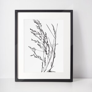 Arte della parete schizzo di erba, download digitale, piante stampabili, stampa di foglie sottili in bianco e nero, arredamento minimalista con stelo, illustrazione botanica