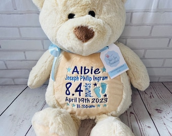Teddy Bear Stuffie - 