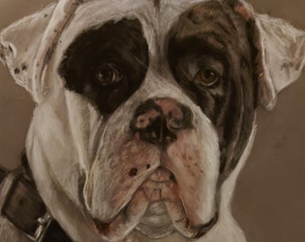 Custom pet portrait