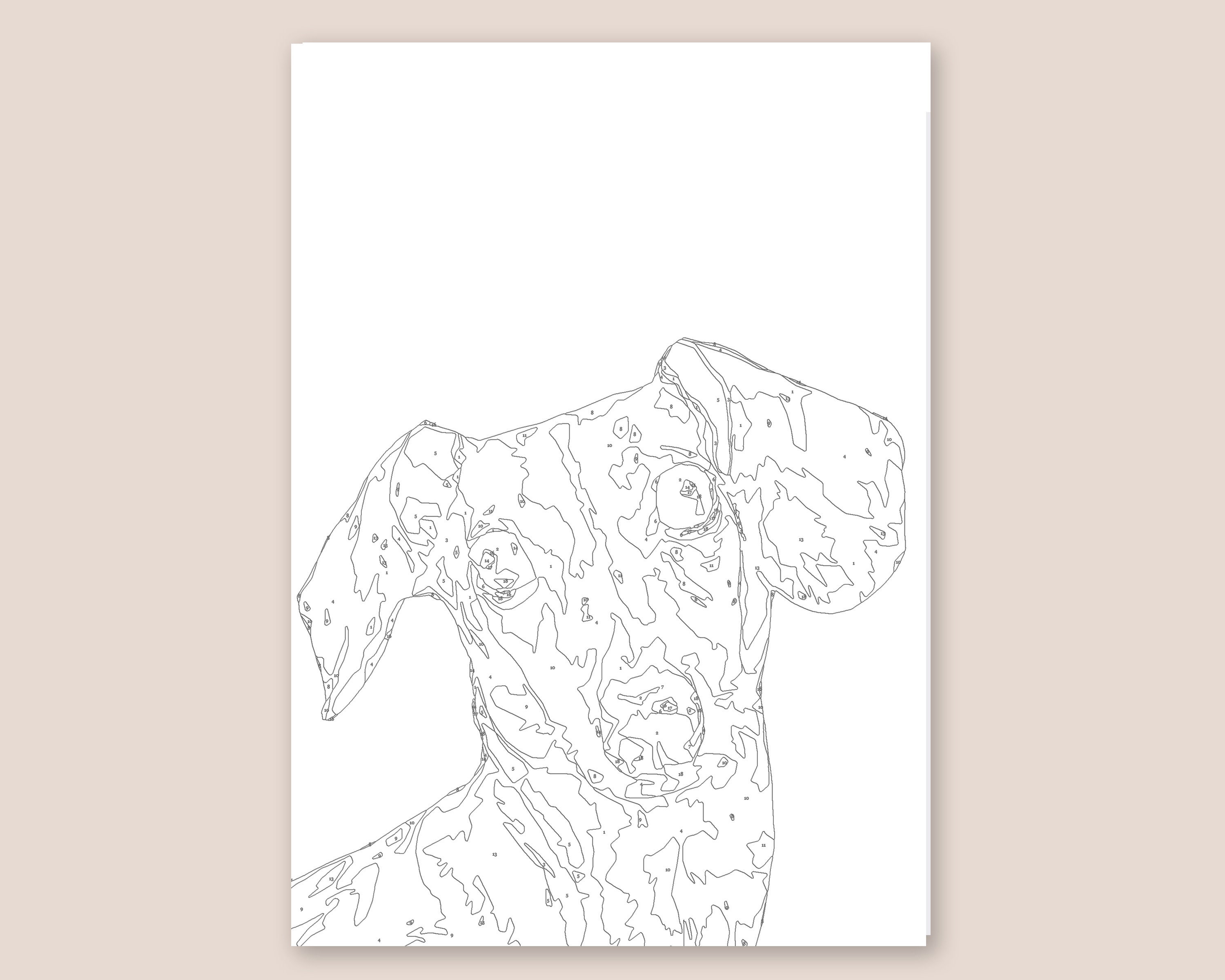 Dachshund Paint by Numbers Printable / Painting for Adults / Colour by