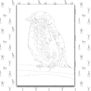 May include: A black and white line art drawing of a bird perched on a branch. The bird has a detailed, textured pattern on its feathers.