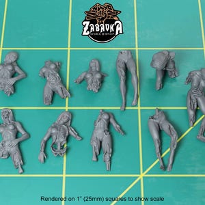 May include: A set of ten gray plastic miniature figures of female zombies in various poses. The figures are rendered on 1 inch (25mm) squares to show scale.