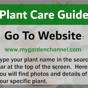 Pode incluir: Guia de cuidados com plantas verde e branco com o texto "Plant Care Guide" e "Go To Website: www.mygardenchannel.com". O texto abaixo do endere&ccedil;o do site instrui os usu&aacute;rios a digitar o nome de sua planta na barra de pesquisa no topo da tela para encontrar fotos e detalhes de sua planta espec&iacute;fica.