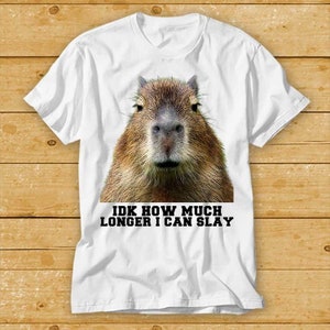 IDK How Much Longer Opossum I Can Slay Capybara Sarcastic Dank T Shirt Cult Movie Retro Vintage Music Top Tee 2363
