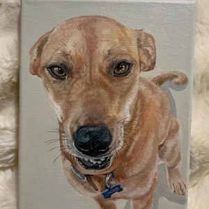 Custom Painted Pet Portrait