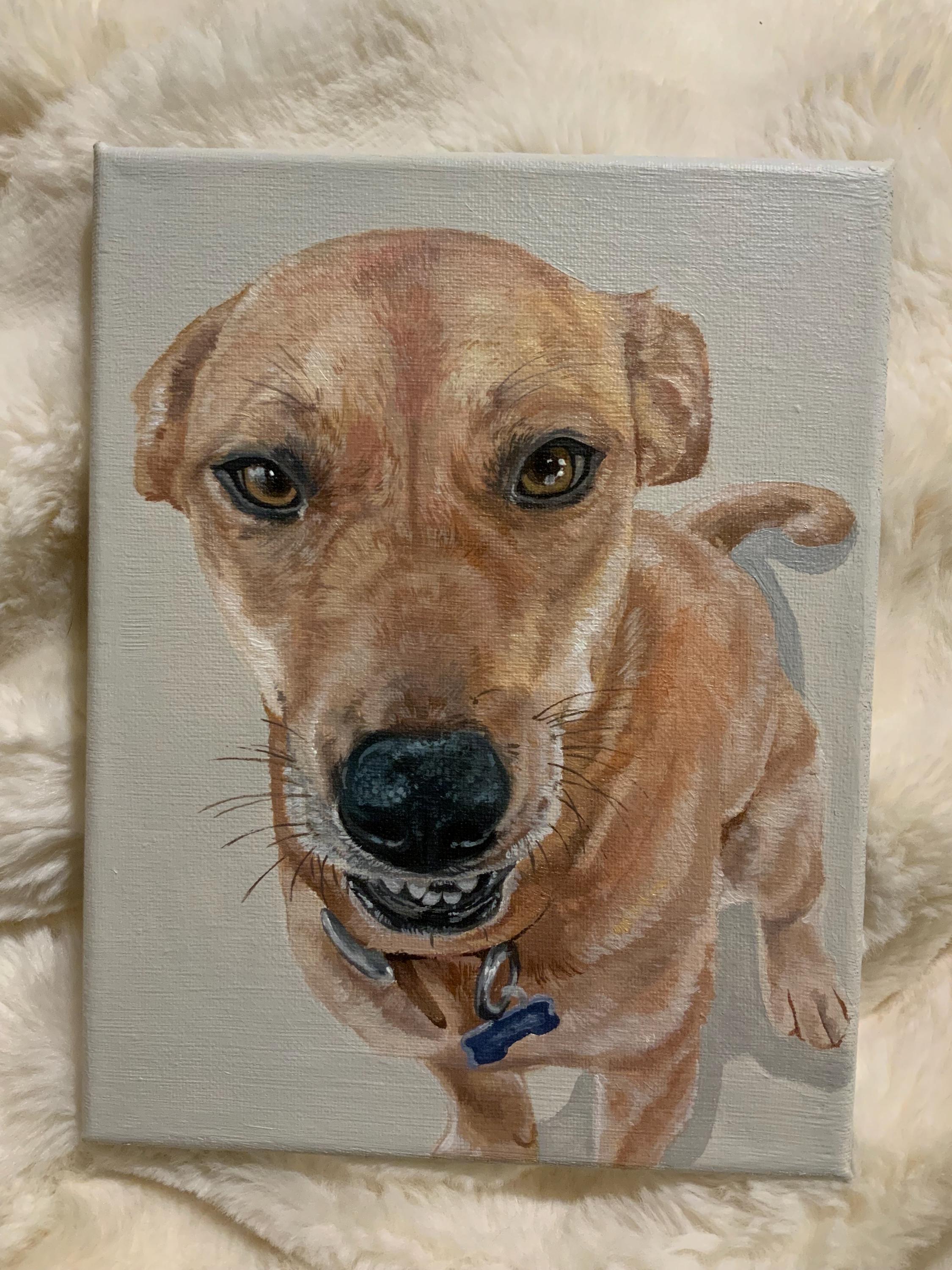 Custom Painted Pet Portrait
