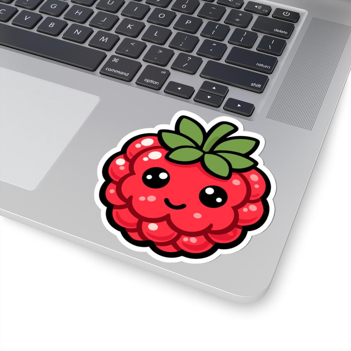 Sticker0 Raspberry Pi Raspberry Sticker - Etsy