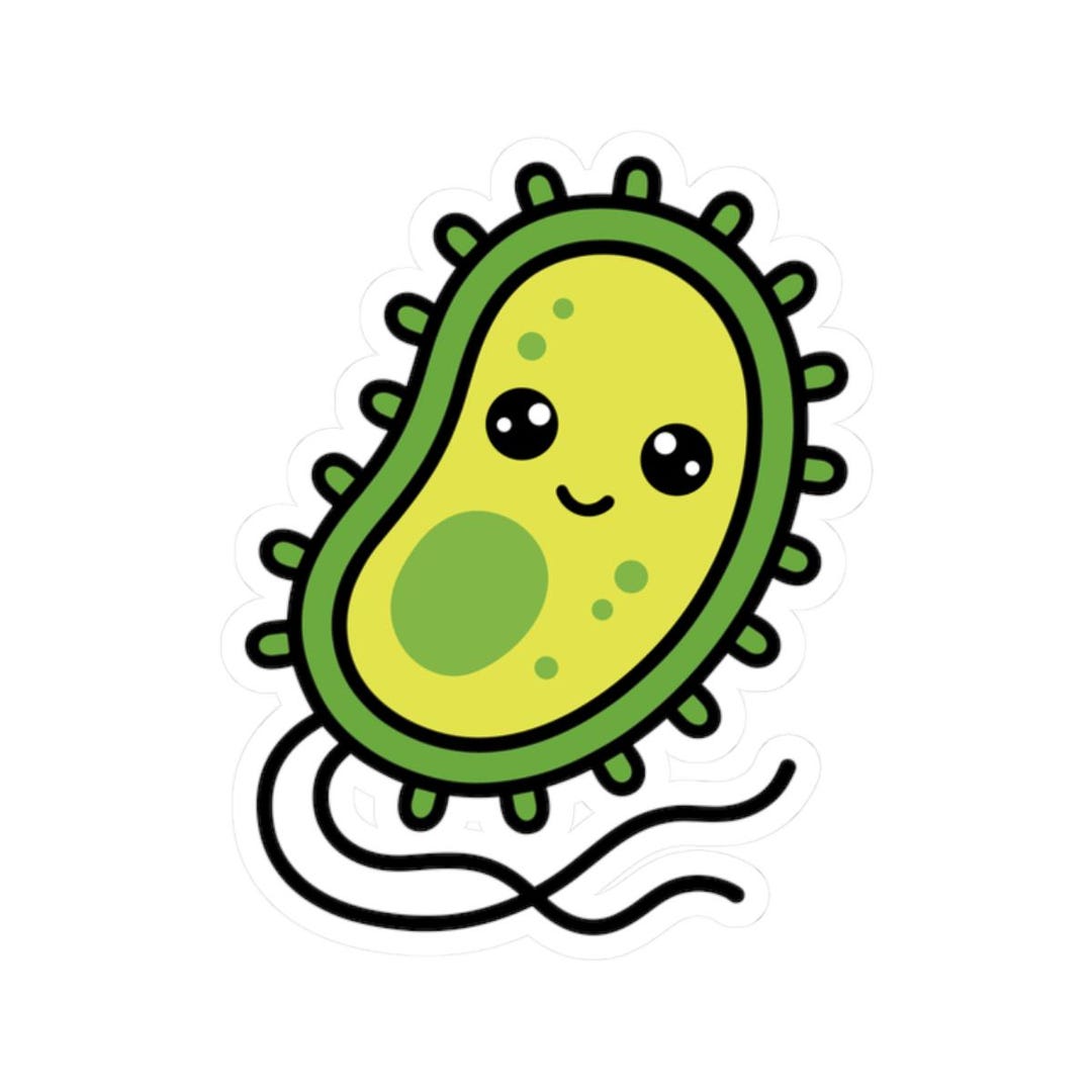 Bacteria Sticker - Etsy